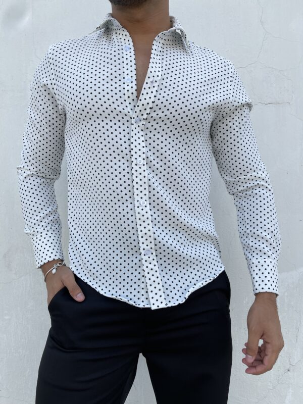 img_5987 CAMISA ANIMAL PRINT POLKA DOT